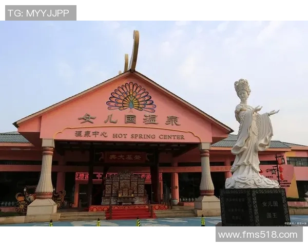 苏伟的奋斗历程与人生哲学探索：从平凡到卓越的心路历程